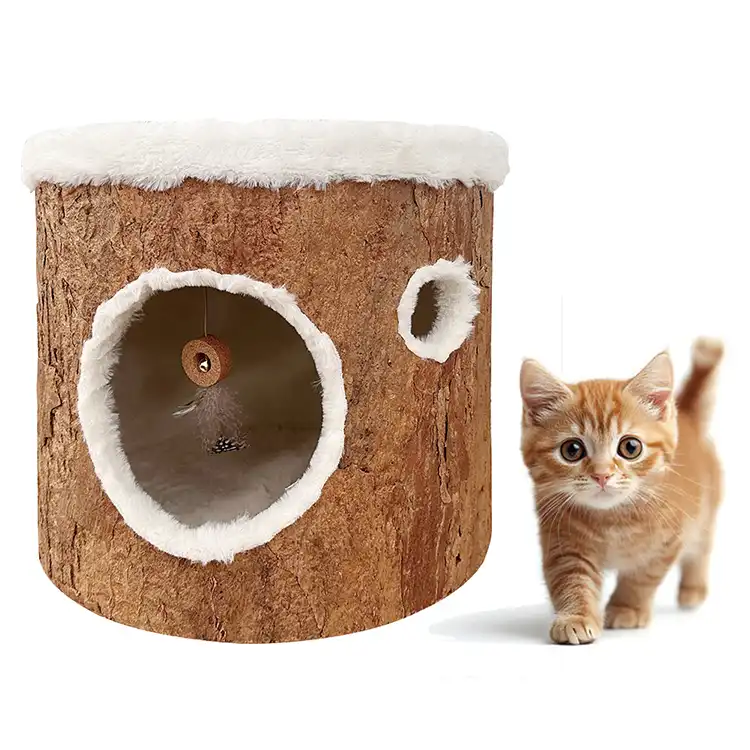 Large Cat Cave